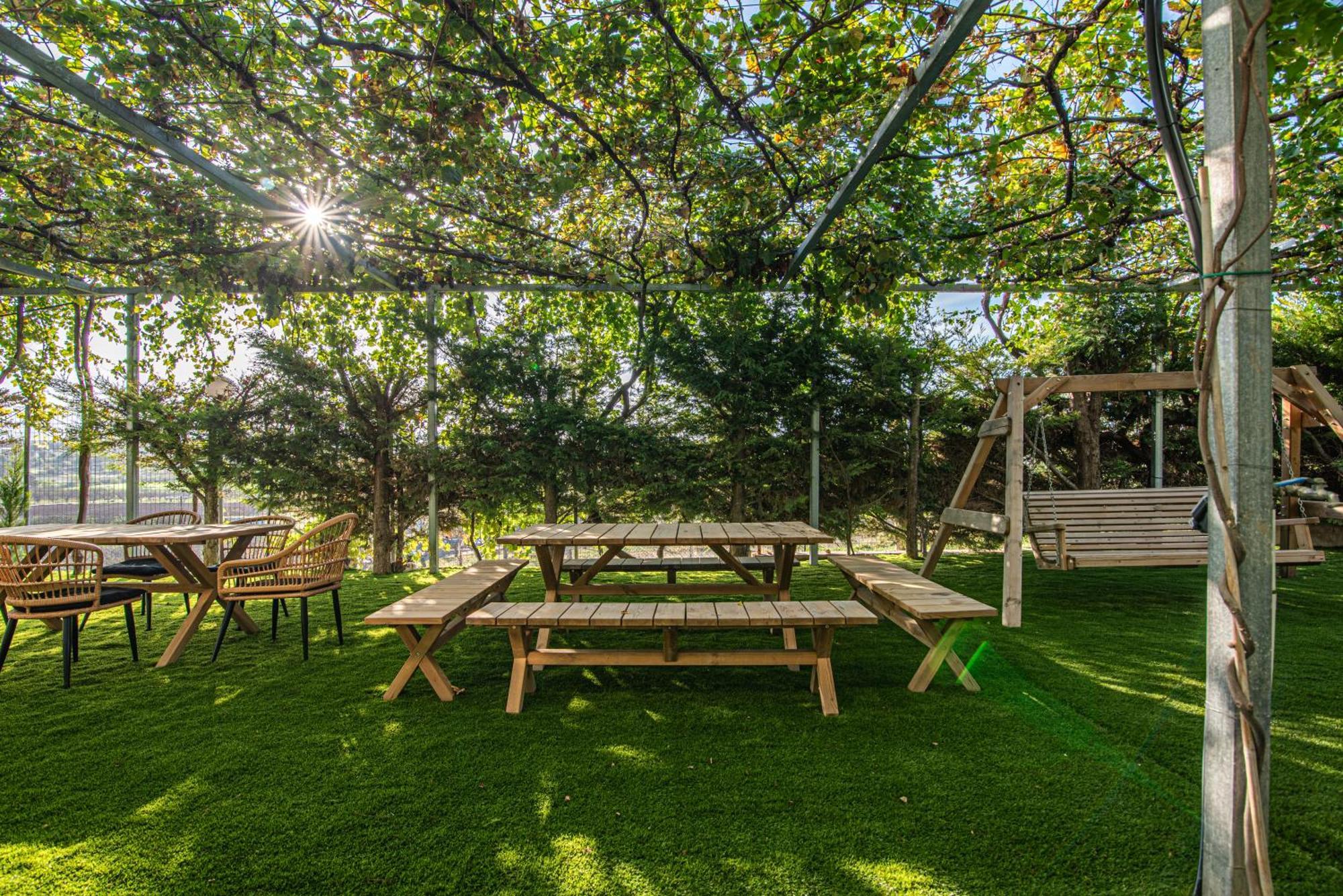Mirtilo Apartment Oinofyta Dış mekan fotoğraf